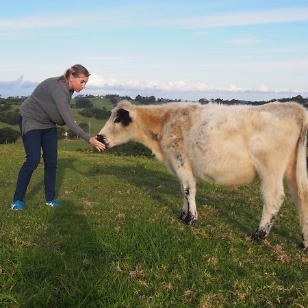 Byron Bay Farm Cottages Luaran gambar