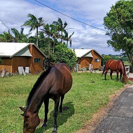 Byron Bay Farm Cottages Luaran gambar