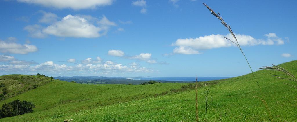 Byron Bay Farm Cottages Luaran gambar