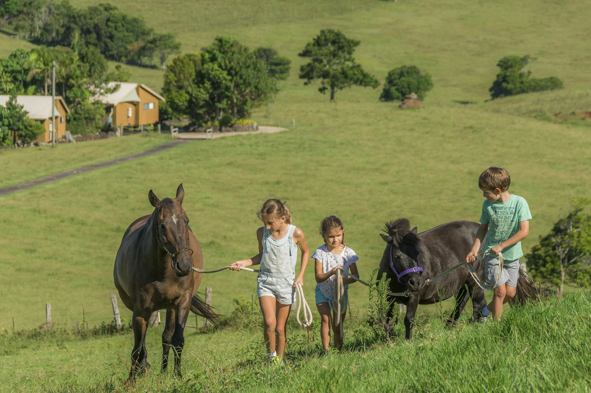 Byron Bay Farm Cottages Luaran gambar