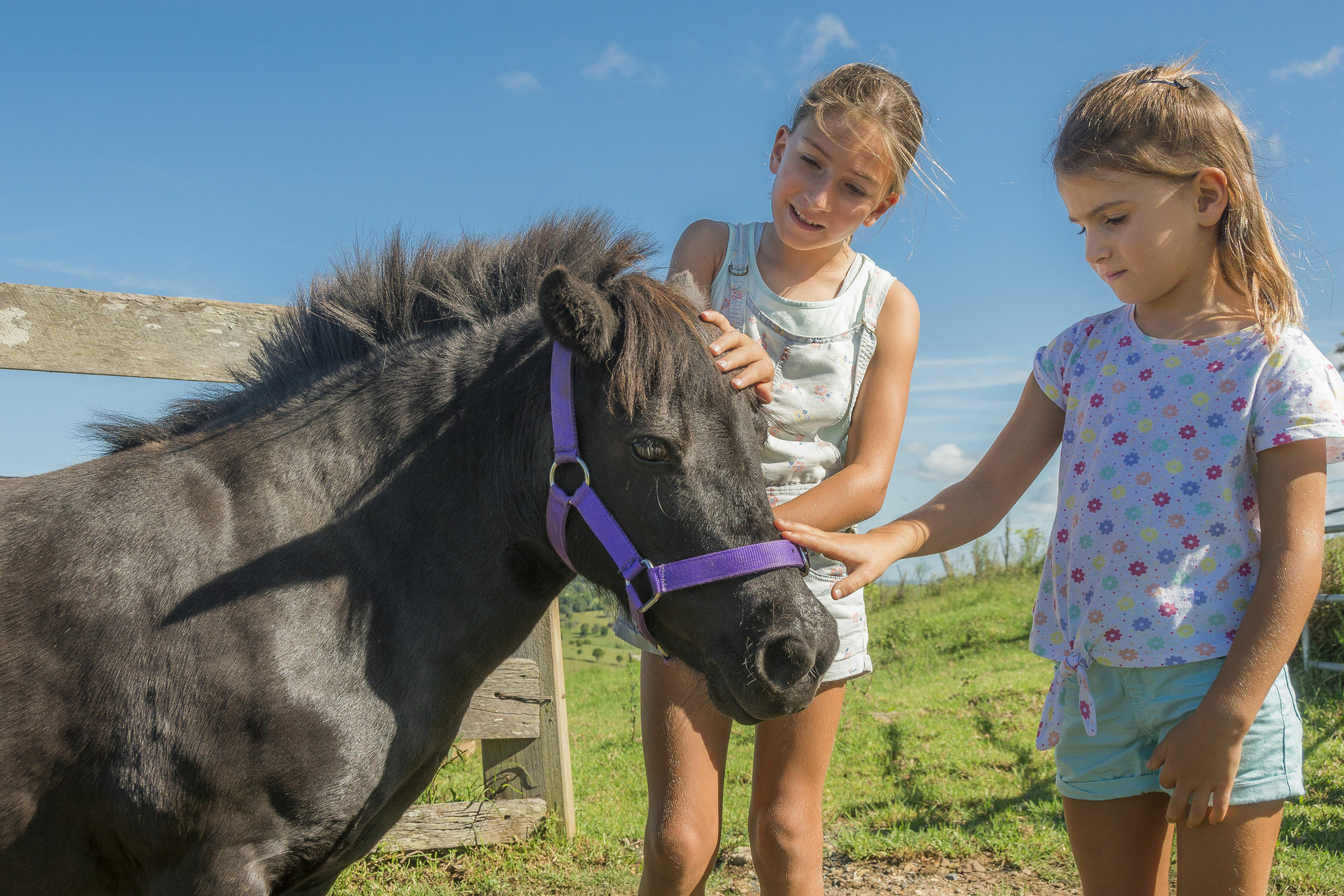 Byron Bay Farm Cottages Luaran gambar