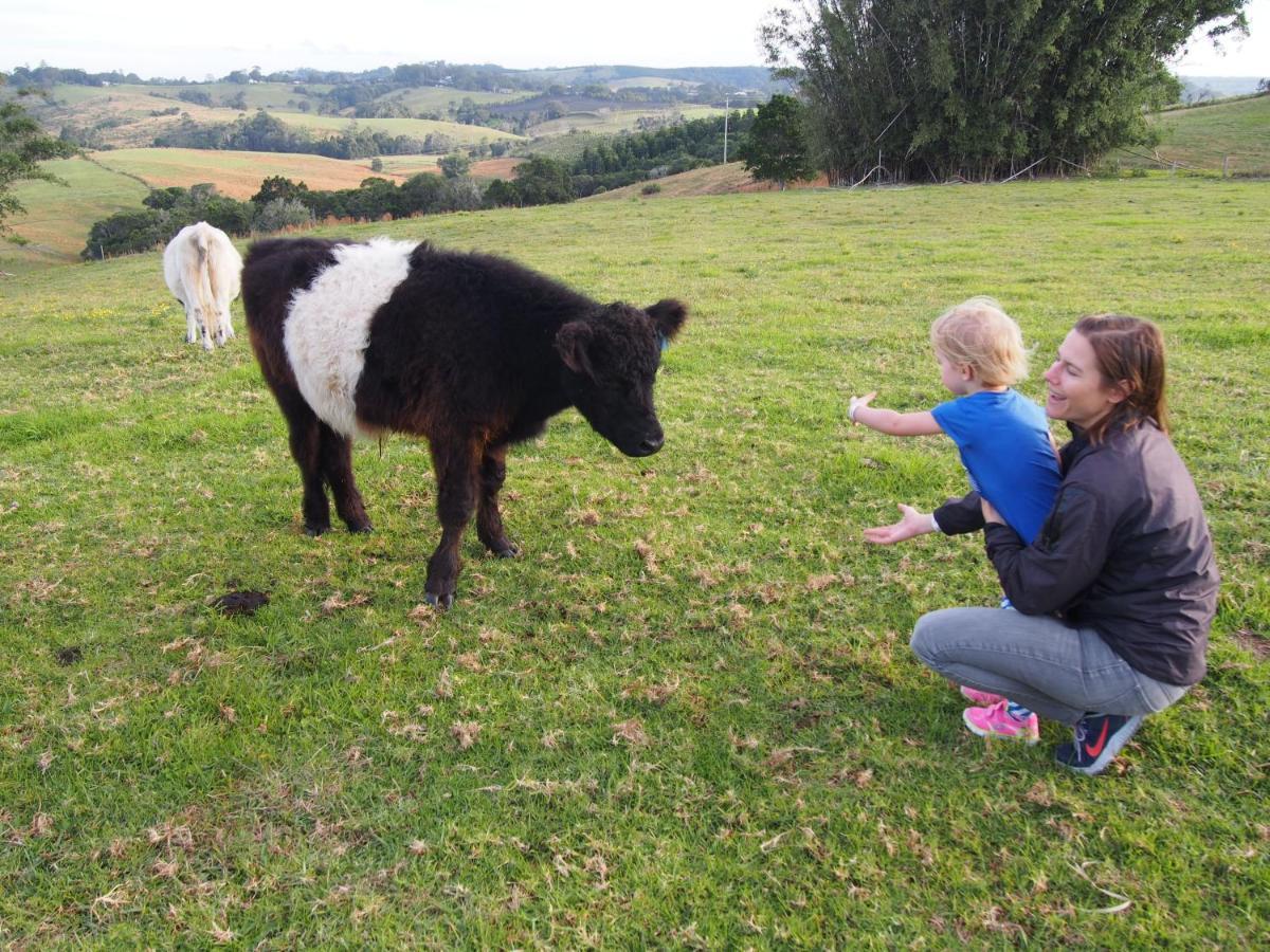 Byron Bay Farm Cottages Luaran gambar