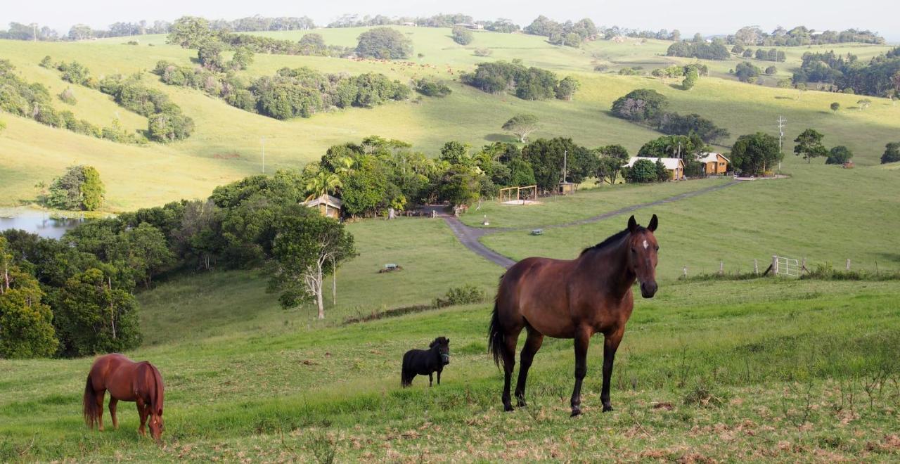 Byron Bay Farm Cottages Luaran gambar