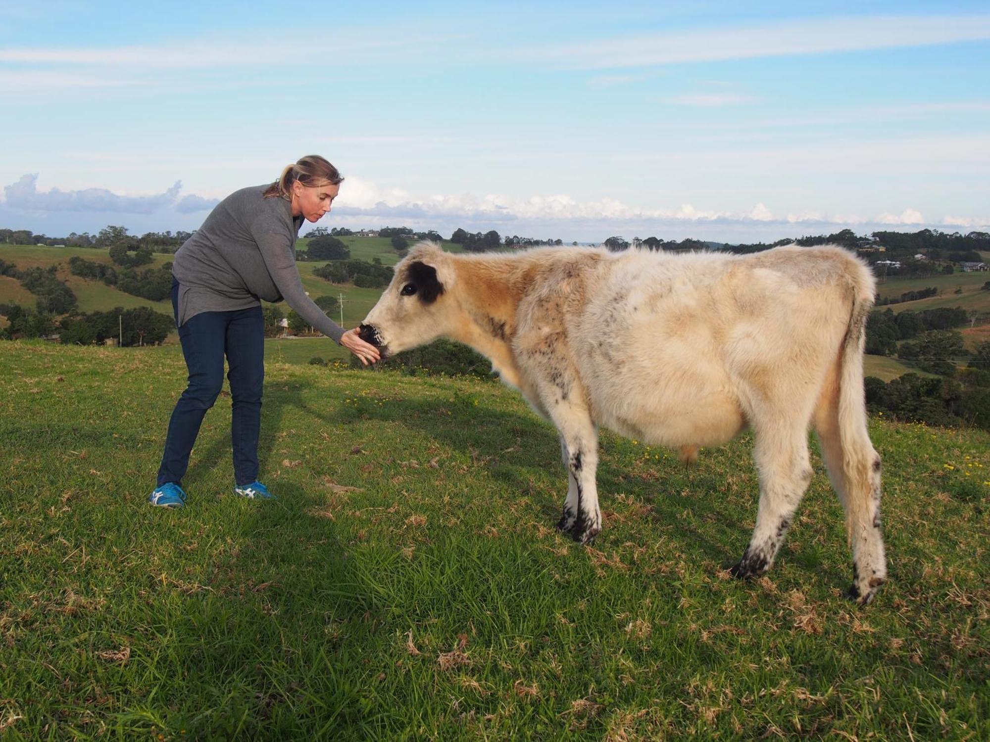 Byron Bay Farm Cottages Luaran gambar