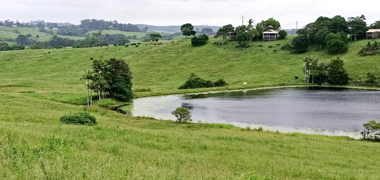 Byron Bay Farm Cottages Luaran gambar