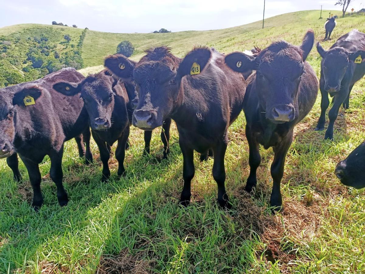 Byron Bay Farm Cottages Luaran gambar