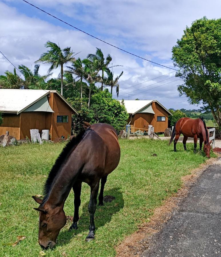 Byron Bay Farm Cottages Luaran gambar