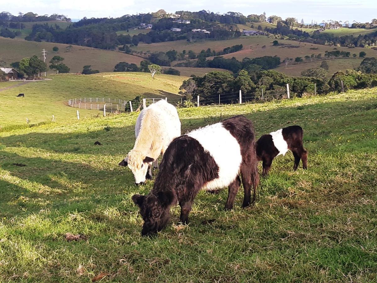 Byron Bay Farm Cottages Luaran gambar