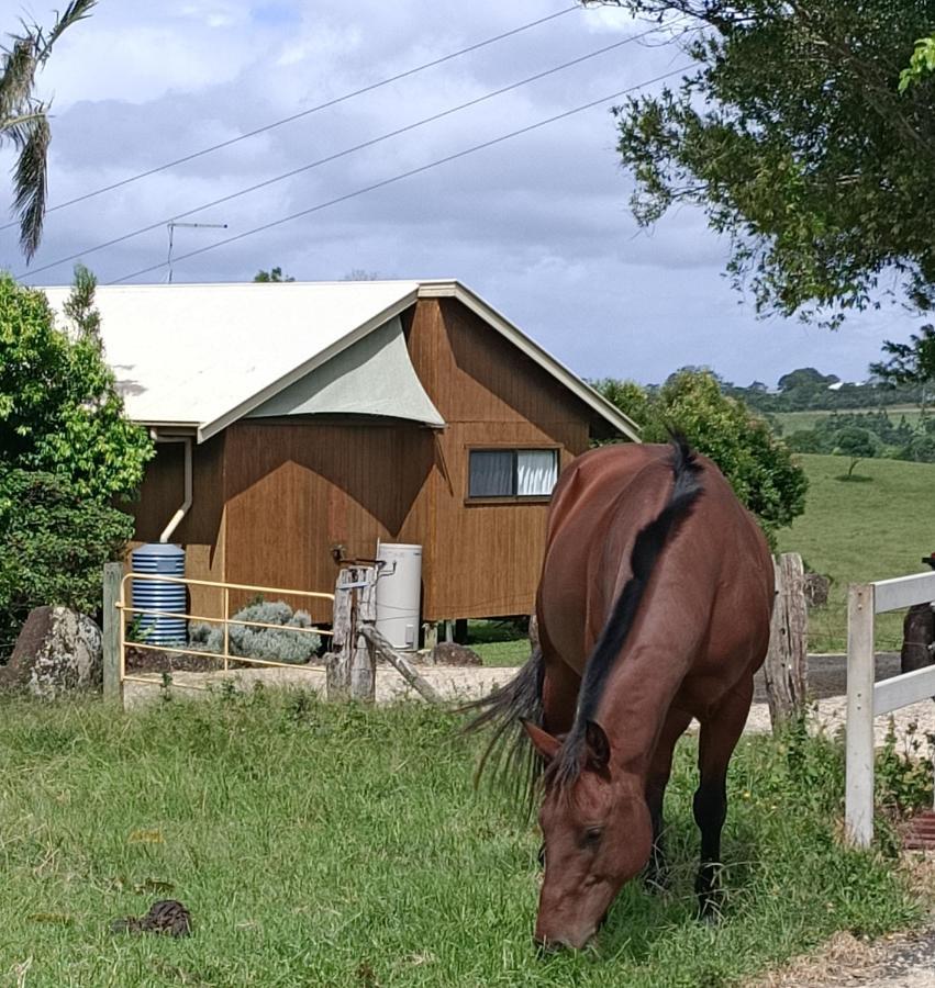 Byron Bay Farm Cottages Luaran gambar